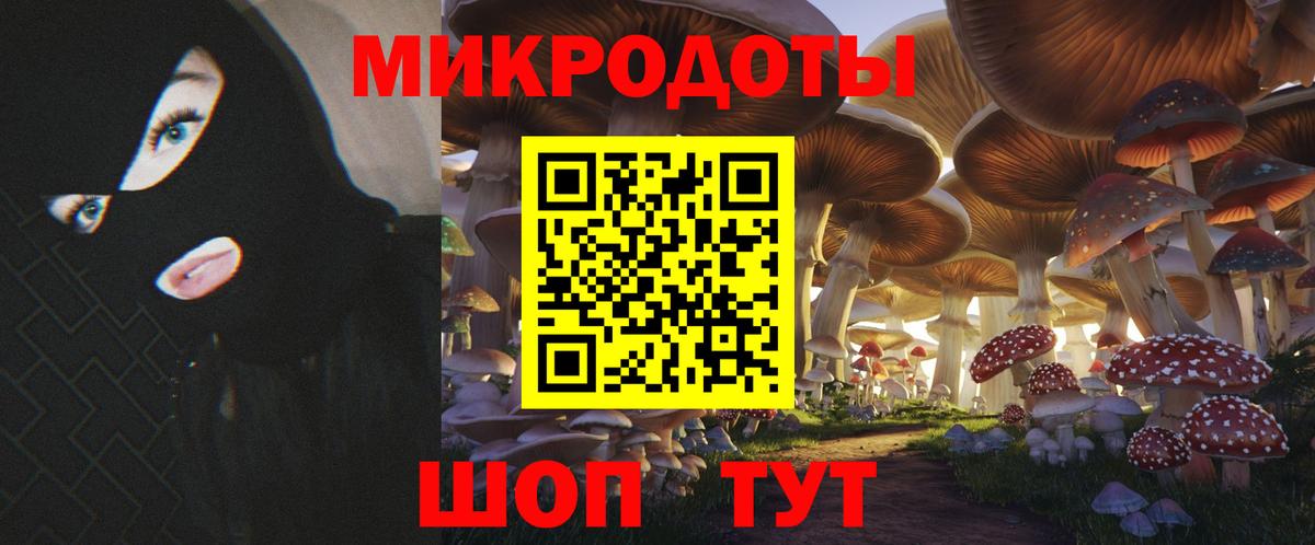Канаш  Галлюциногенные грибы Psilocybine cubensis  Вход с VPN  Галлюциногенные грибы прущие грибы 