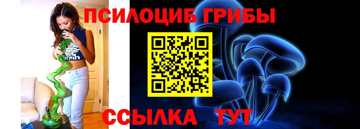 Галлюциногенные грибы Cubensis Канаш